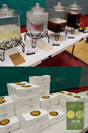 ABG_2020_Spring_Conference_058