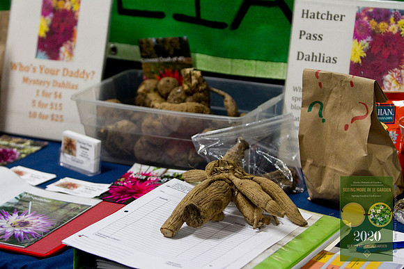 ABG_2020_Spring_Conference_076