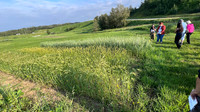 IMG_5029
