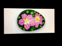 Abbott_Rock_4b