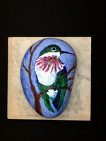 Abbott_Rock_5b