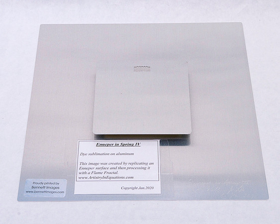 GBG_Bill Lee_Enneper in Spring IV_12x12_Back
