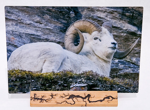 Deb Larson_8x12_Sheep_$80